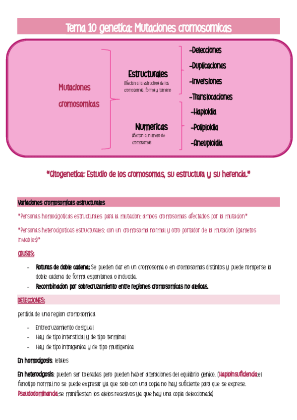 Miniatura del documento Tema-10-genetica.pdf