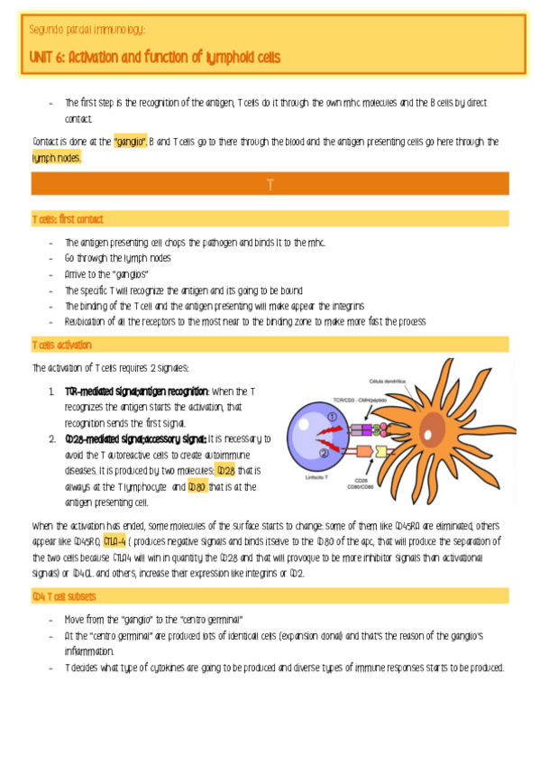 Miniatura del documento segundo-parcial.pdf