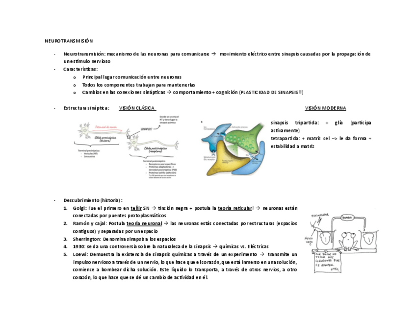 Miniatura del documento esquemas-NEUROTRANSMISION.pdf
