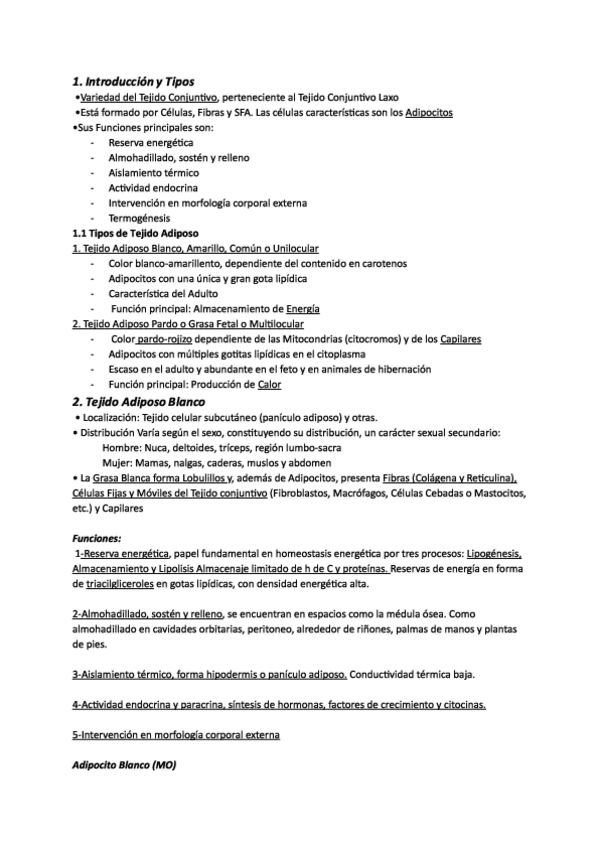 Miniatura del documento TEJIDO ADIPOSO.pdf