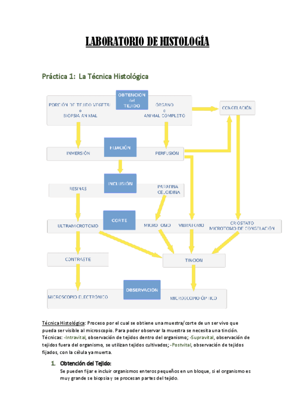 Miniatura del documento Laboratorio-de-histologia.pdf