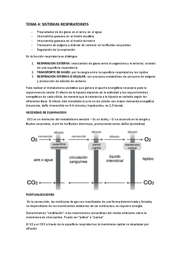 Miniatura del documento TEMA-4-SISTEMAS-RESPIRATORIOS.pdf