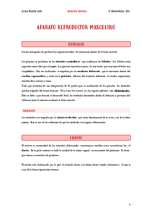 Miniatura del documento 11.-Aparato-reproductor-masculino.pdf