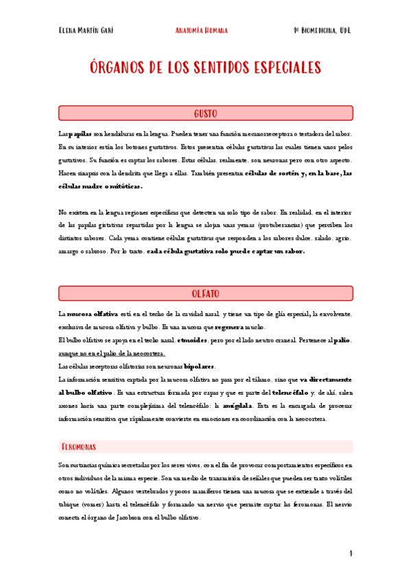 Miniatura del documento 14.-Organos-de-los-sentidos.pdf