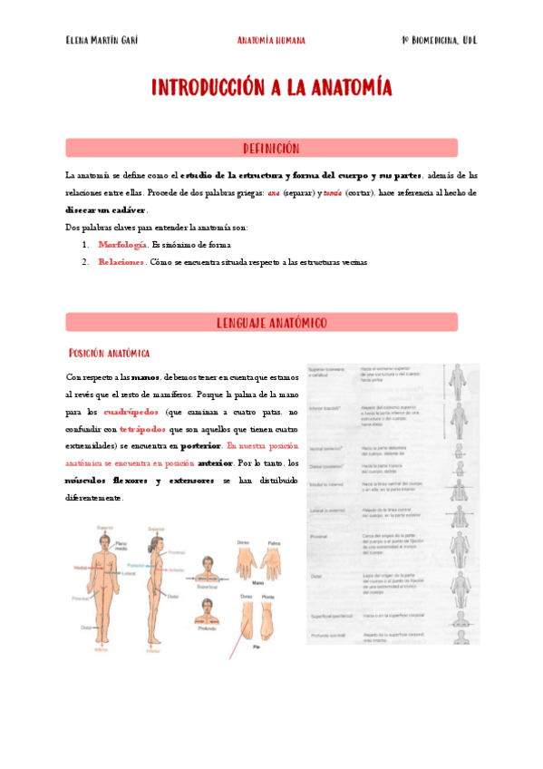 Miniatura del documento 1.-Introduccion-a-la-anatomia.pdf