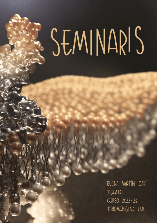 Miniatura del documento BIOQUIMICA-ESTRUCTURAL-SEMINARIS.pdf