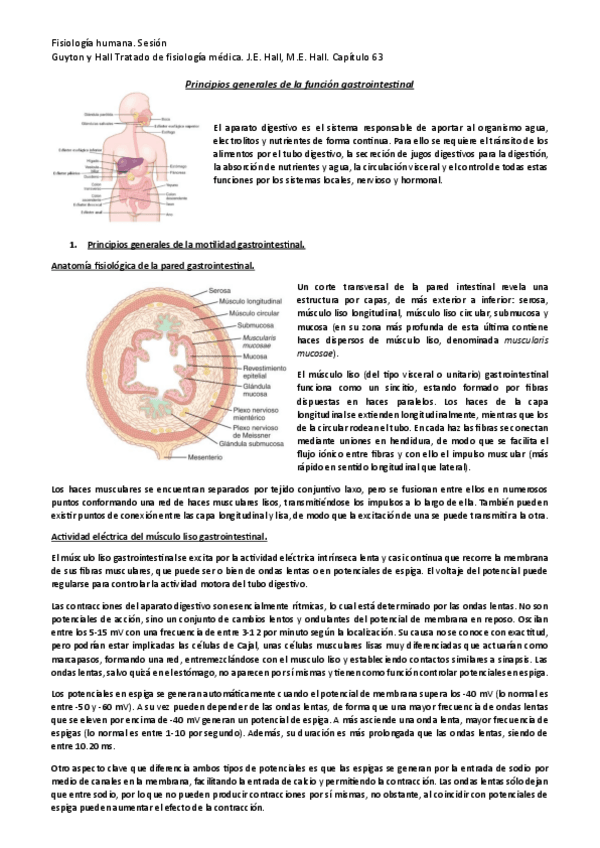 Miniatura del documento Tema-27.-Principios-generales-de-la-funcion-gastrointestinal.pdf