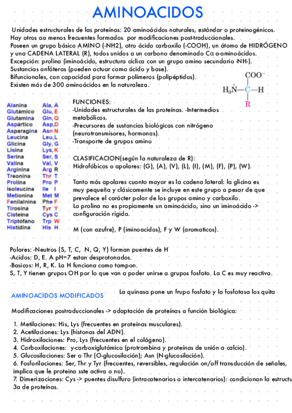 Miniatura del documento Aminoacidos.pdf