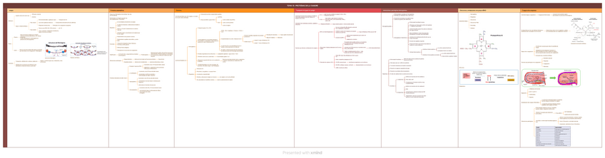 Miniatura del documento TEMA-10-PROTEINAS-DE-LA-SANGRE.pdf