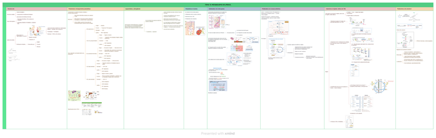 Miniatura del documento TEMA-15.-METABOLISMO-DE-LIPIDOS..pdf