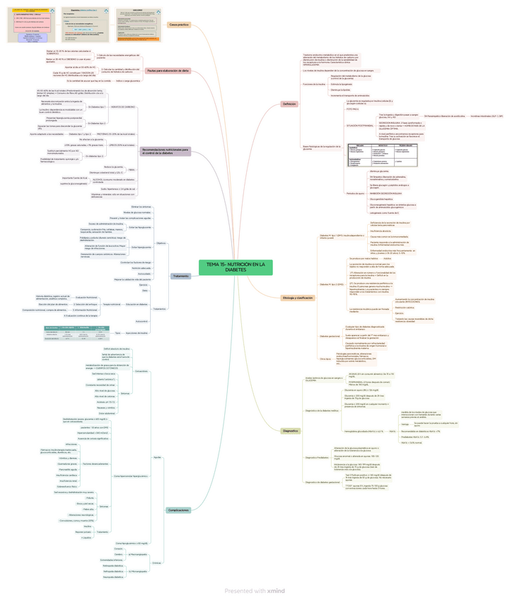 Miniatura del documento TEMA-15-NUTRICION-EN-LA-DIABETES.pdf