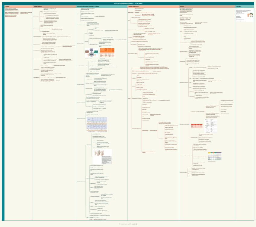 Miniatura del documento TEMA-7-NUTRICION-EN-EL-EMBARAZO-Y-LA-LACTANCIA.pdf