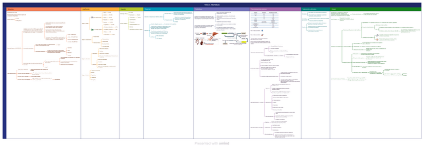 Miniatura del documento TEMA-3-PROTEINAS.pdf