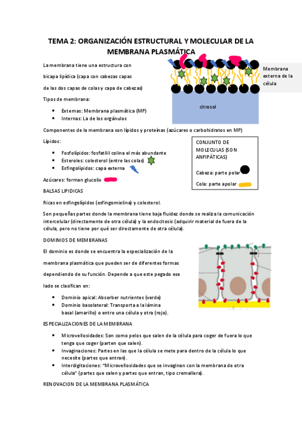 Miniatura del documento TEMA-2.pdf