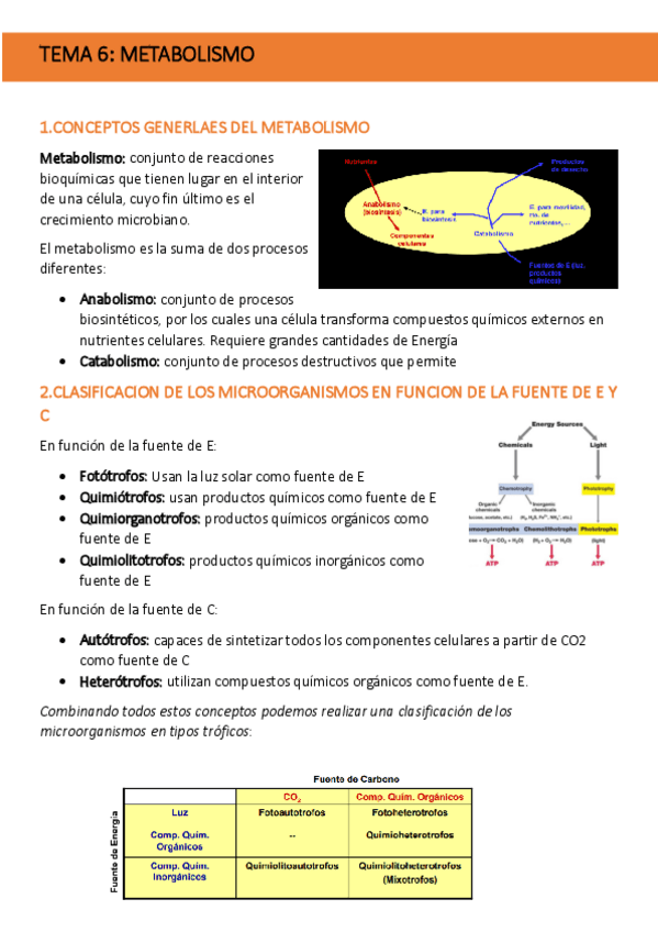 Miniatura del documento TEMA-6-MICROBIOLOGIA.pdf