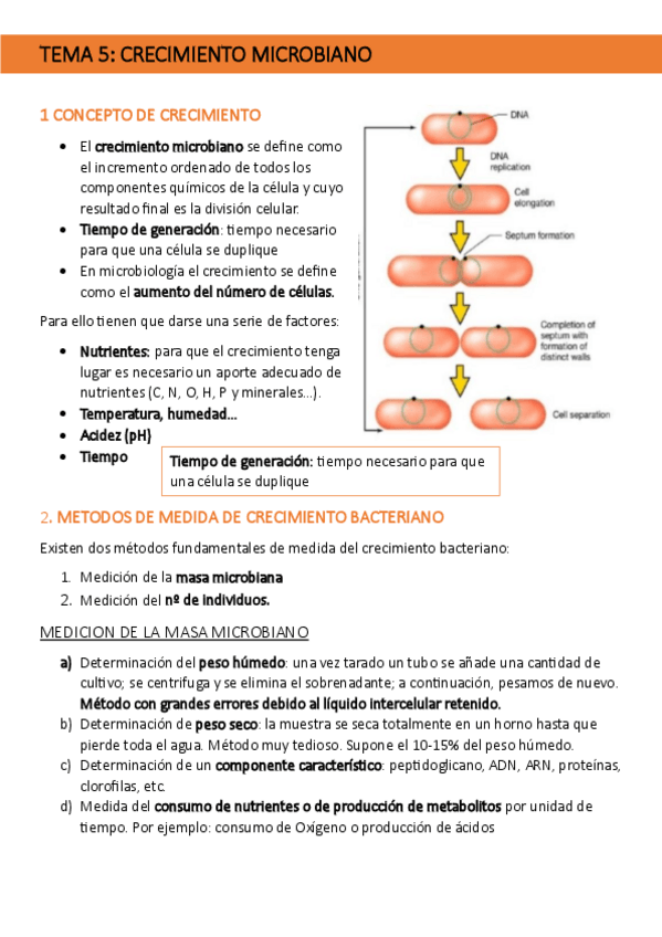 Miniatura del documento TEMA-5-MICROBIOLOGIA.pdf