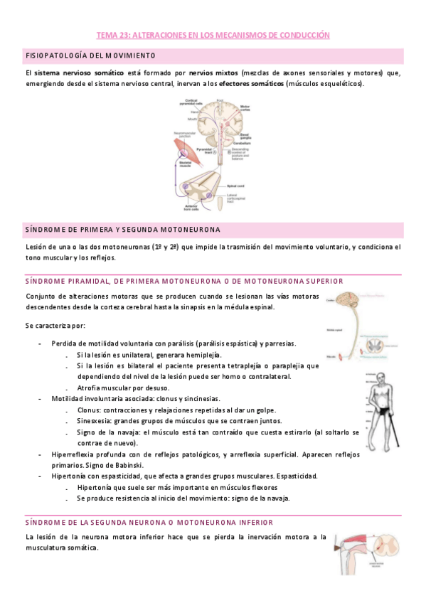 Miniatura del documento Tema-1-Nervioso.pdf