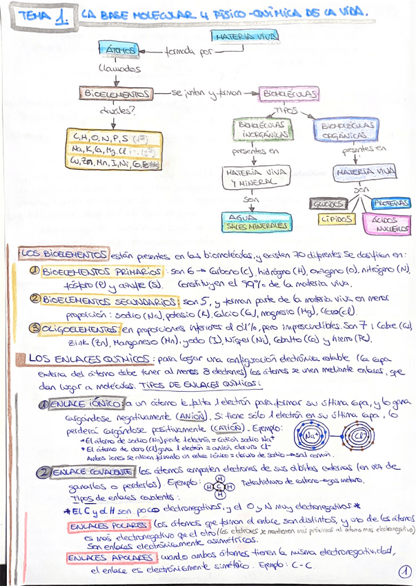 Miniatura del documento 25-Biologia.-Resumen-todo-lo-necesarioTema-1.pdf