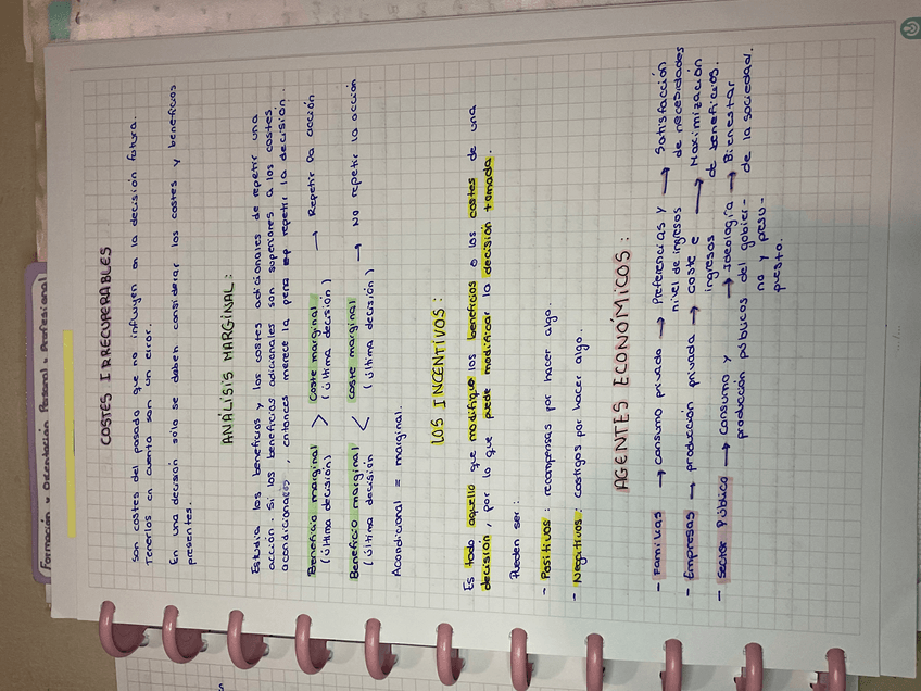 Miniatura del documento Costes-irrecuperables.jpeg