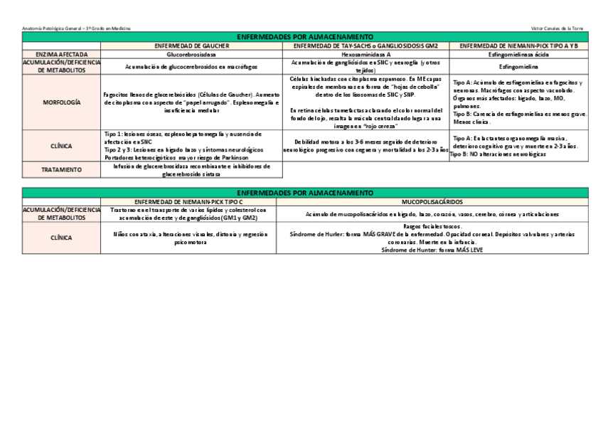 Miniatura del documento Tabla-de-enfermedades-metabolicas-I.pdf