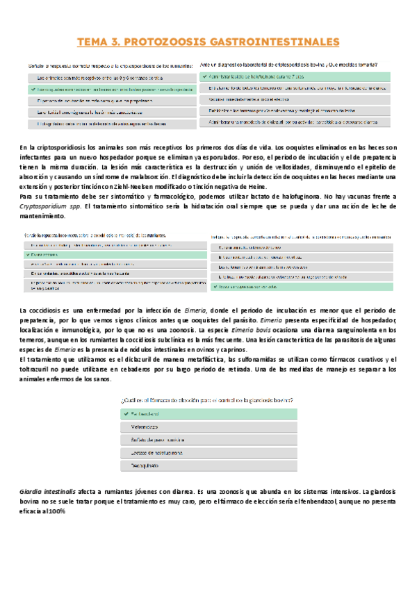 Miniatura del documento CUESTIONARIOS.pdf