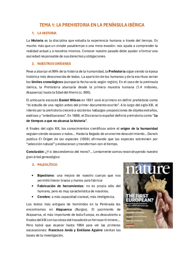 Miniatura del documento tema-1-prehistoria.pdf
