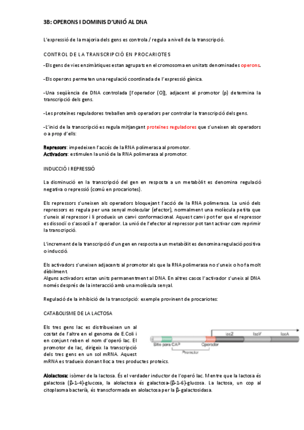 Miniatura del documento BLOC-3B.pdf