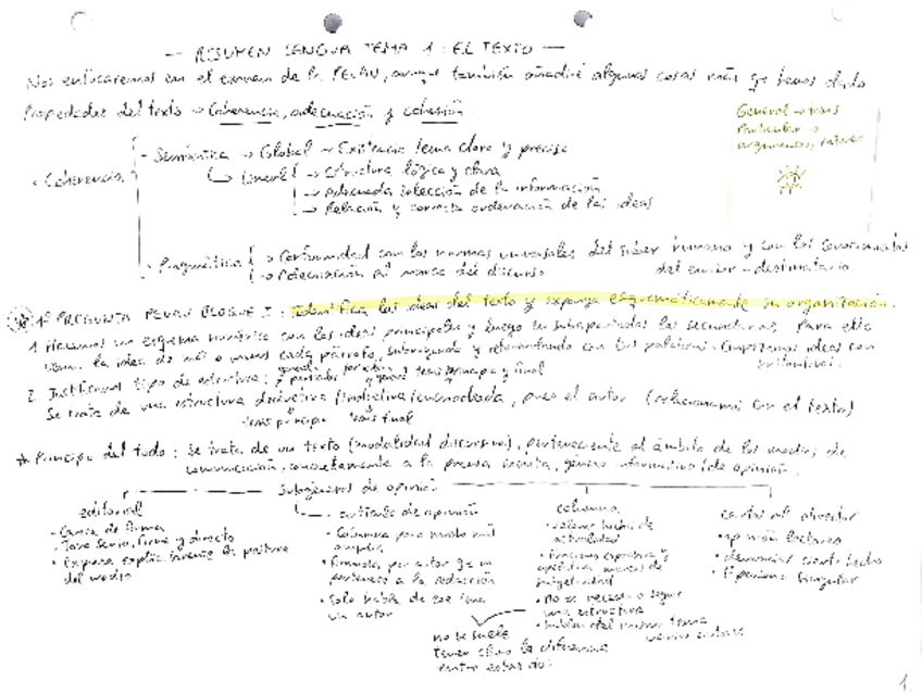 Miniatura del documento Resumen-lengua-tema-1-el-texto-enfocado-a-la-PevAU.pdf