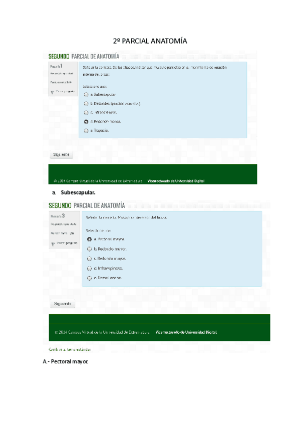 Miniatura del documento 2o-PARCIAL-ANATOMIA.pdf