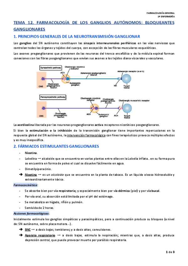 Miniatura del documento TEMA-12-FARMACOLOGA-GENERAL.pdf
