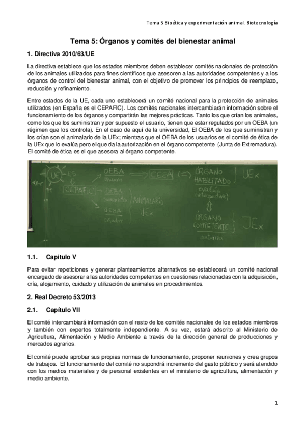 Miniatura del documento Tema-5-Organos-y-comites-del-bienestar-animal.pdf