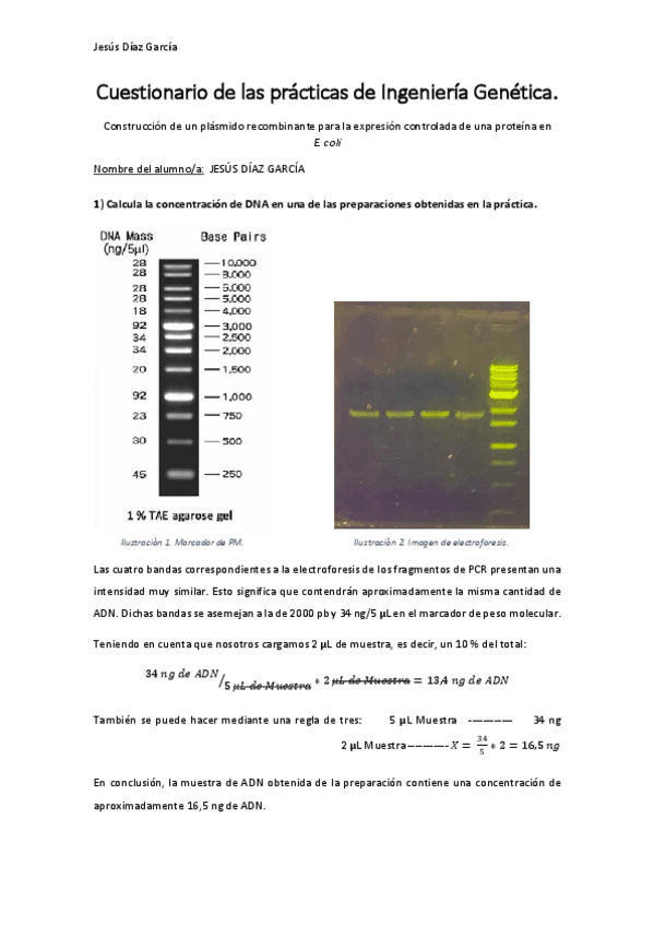 Miniatura del documento Informe-de-Practicas-I.G.pdf