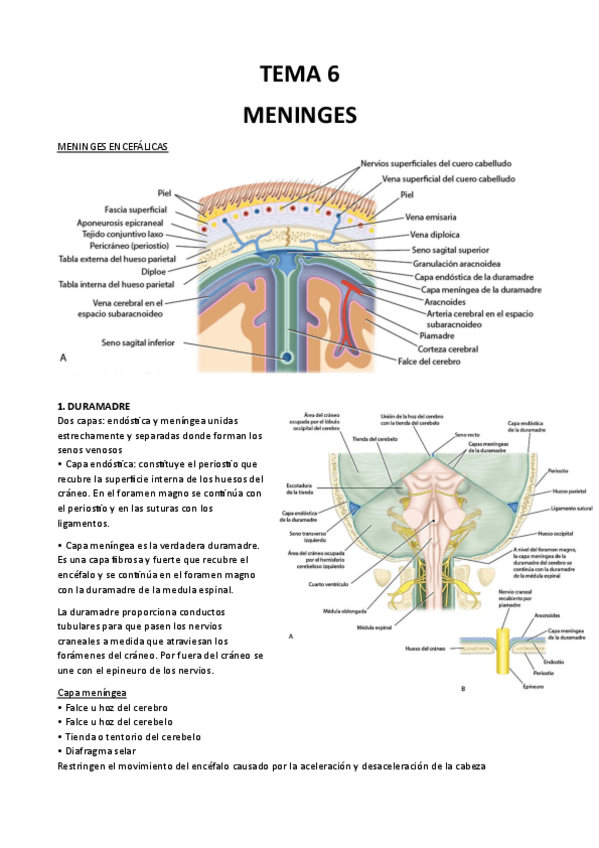 Miniatura del documento Tema-6.pdf