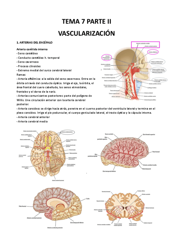Miniatura del documento Tema-7-parte-2.pdf