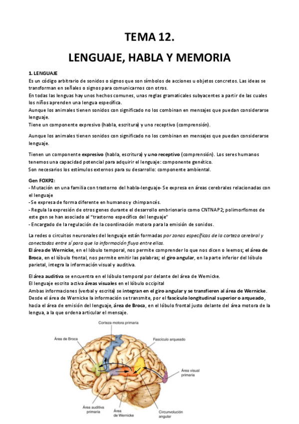 Miniatura del documento Tema-12.pdf