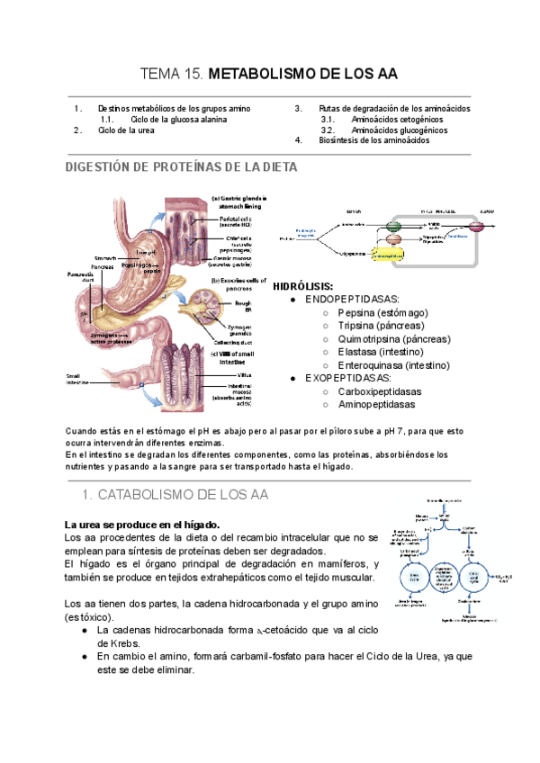 Miniatura del documento TEMA-15-2.pdf
