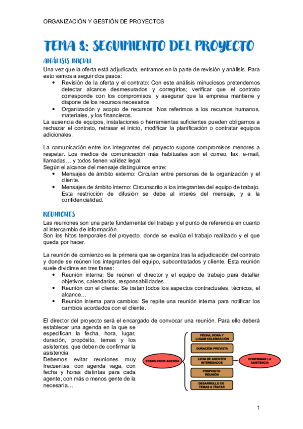Miniatura del documento TEMA-8-PROYECTOS.pdf