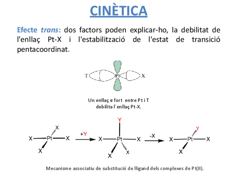 Miniatura del documento TUTORIA-11.pdf