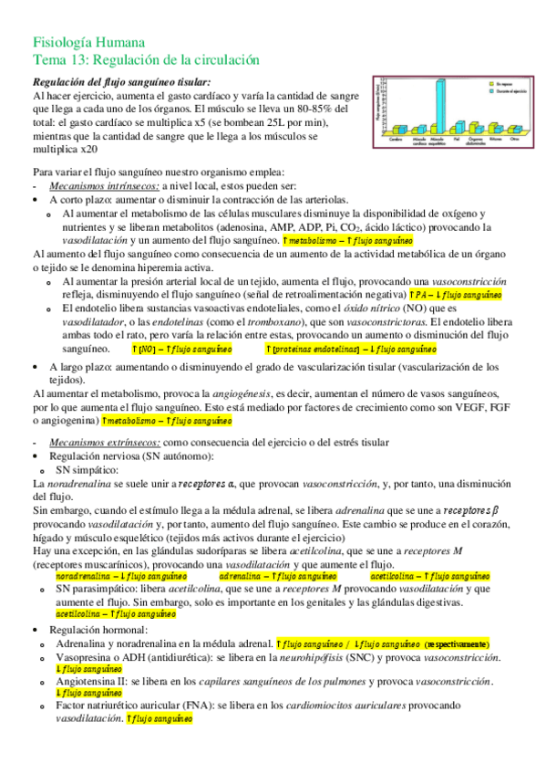 Miniatura del documento T13-Regulacion-de-la-circulacion.pdf