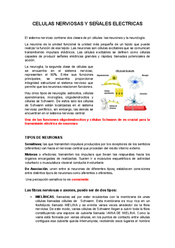 Miniatura del documento CELULAS-NERVIOSAS-Y-SENALES-ELECTRICAS-1-1.pdf