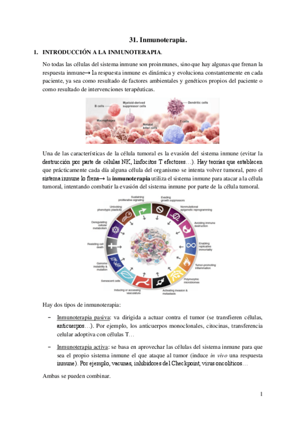 Miniatura del documento 31.-Inmunoterapia-en-hematologia.pdf