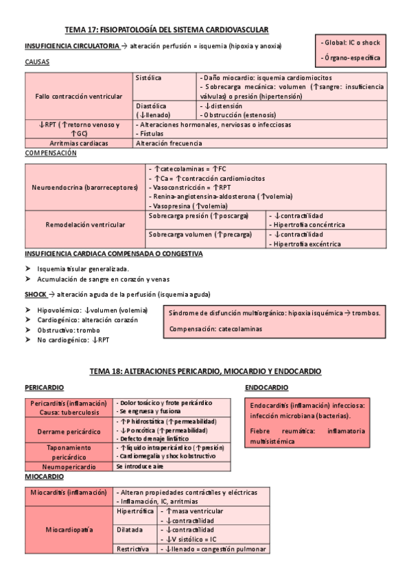 Miniatura del documento Esquemas-cardio-parcial-1.pdf
