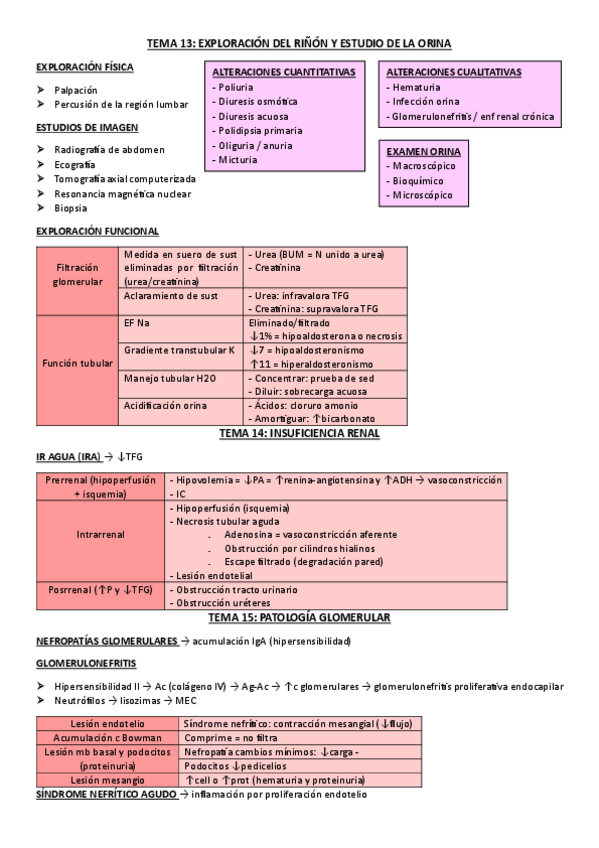 Miniatura del documento Esquemas-renal-parcial-1.pdf