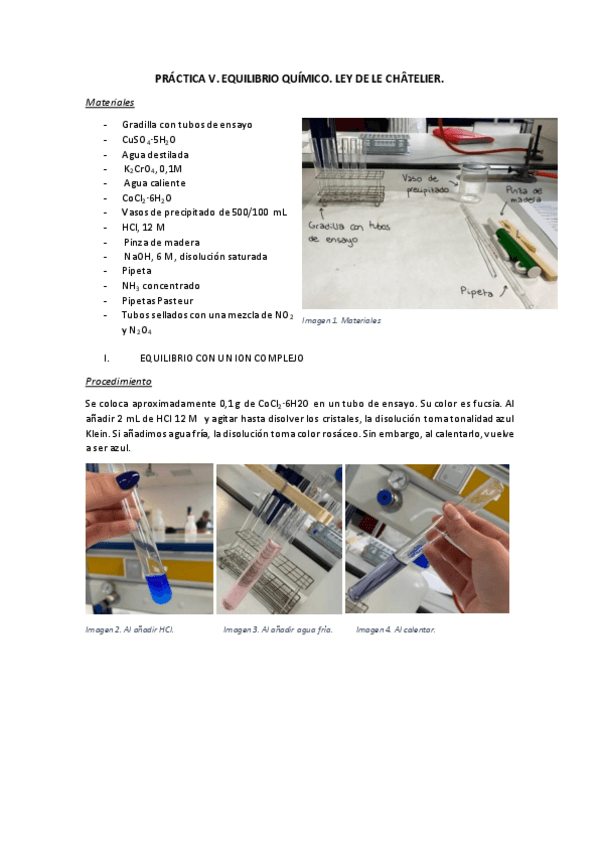 Miniatura del documento Practica-5.pdf