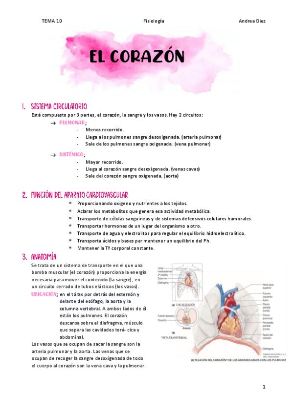 Miniatura del documento TEMA-10-El-corazon.pdf