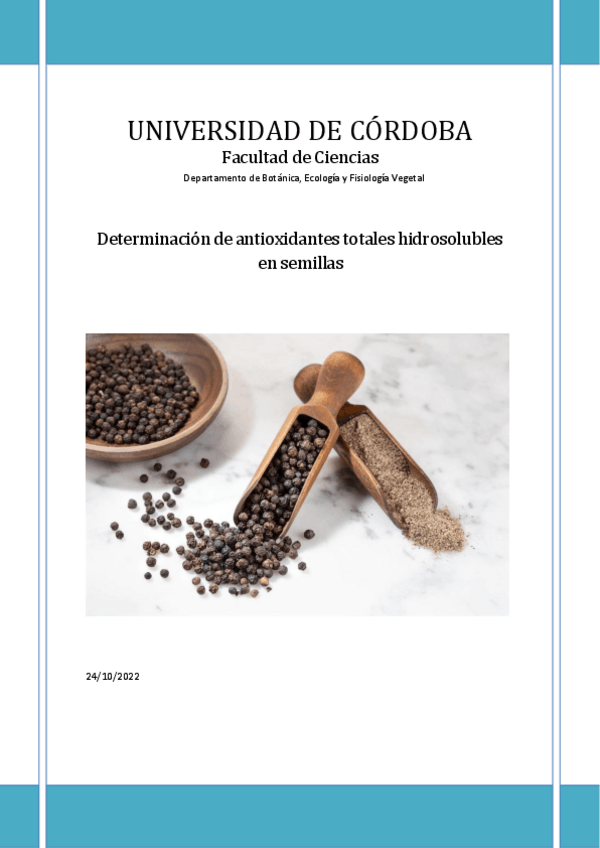 Miniatura del documento Informe-Semilla.pdf