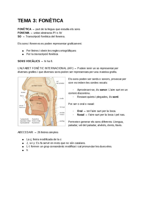 Miniatura del documento TEMA-3-FONETICA.pdf