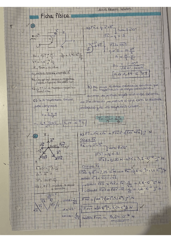 Miniatura del documento Apuntes-campo-magnetico-fisica.pdf