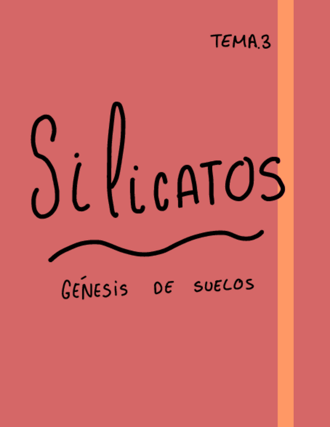 Miniatura del documento T3-.Silicatos.pdf