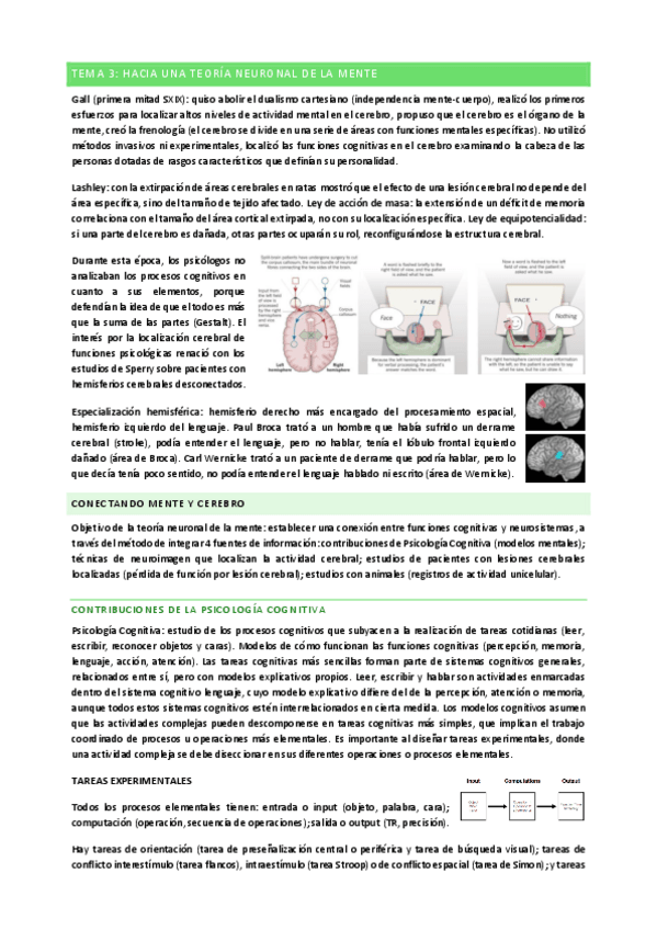 Miniatura del documento Tema-3-Atencion.pdf